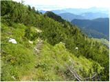Planina Loka - Kup (na Raduhi)